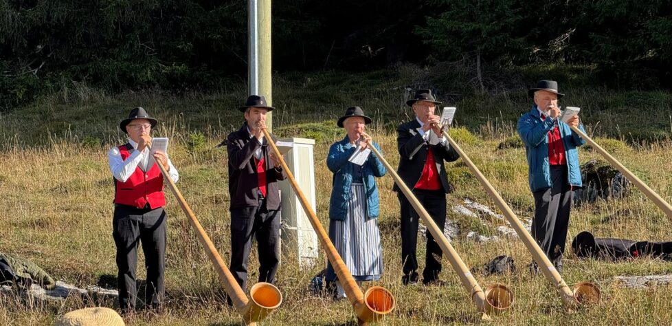 Alphorn Flims